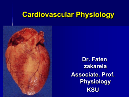 Ch 14: Cardiovascular Physiology