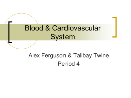 Blood & Cardiovascular System