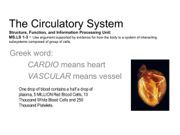 Circulatory System NOTES