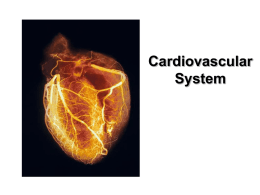 Cardiovascular System Notes