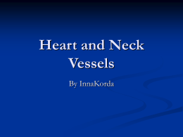 Heart and Neck Vessels