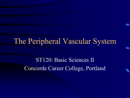 ST120 Peripheral Vascular System
