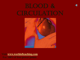 Blood & Circulation
