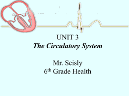 2013_Circulatory_System