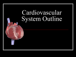 Cardiovascular System Outline