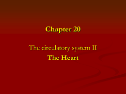 Chapter 20 - Circulatory