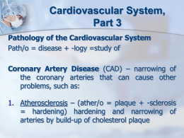 Cardiovascular System Part 2