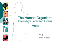 14 The Human Organism - circulatory - Nicole