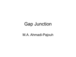 Gap Junction