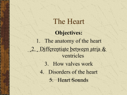 11.1 The Heart - halkuffanatomy