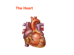 The Heart