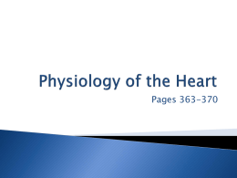 Ch 11 Heart Physiology