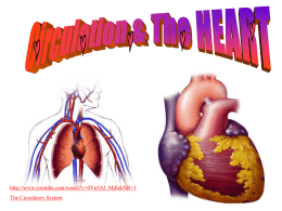 1. CIRCULATION_THE HEART & BP