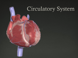 Bio 12 Circulatory System