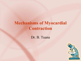 Mechanisms of Myocardial Contraction