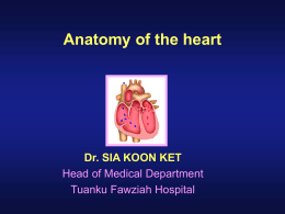 Heart Anatomy - UniMAP Portal