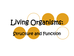 Living-Organisms-PVMS-NEW