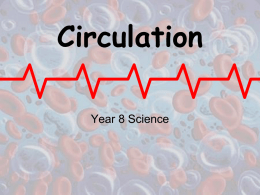 Circulatory System - slider-science-8