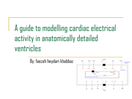 A guide to modelling cardiac electrical activity in