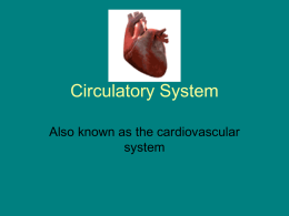 Circulatory