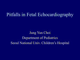 Pitfalls in Fetal Echocardiography