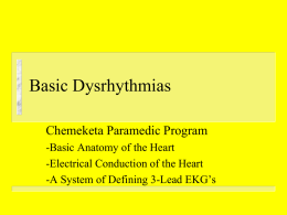 100708 Basic Dysrhythmias  2902KB Jan 14 2015 08:21:37 AM