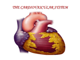 Cardiovascular System - Pupils Copy