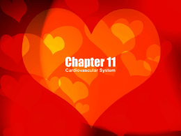 Chapter 11 - Cardiovascular
