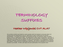 terminology suffixes - Workforce Solutions