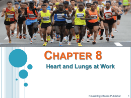Chapter 8 The Heart and Lungs at Work