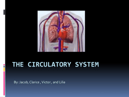 The circulatory system - Bingham-5th-2014