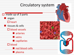 37.2: The Circulatory System