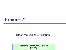 Ativity 25 - PCC - Portland Community College