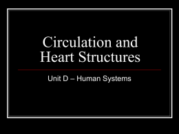 Circulation and Heart Structures