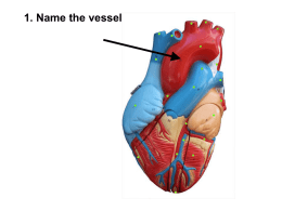 Heart Quiz