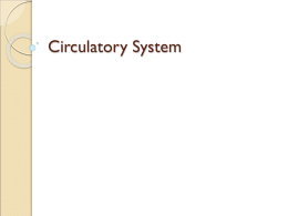 8_ Circulatory Syste..