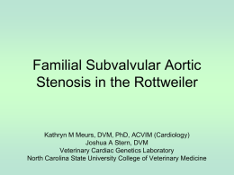 Familial Subvalvular Aortic Stenosis in Rottweilers