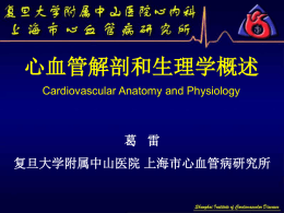 Cardiovascular Anatomy and Physiology