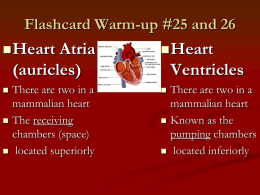 Cardiovascular powerpoint