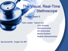 The Visual, Real-Time Stethoscope