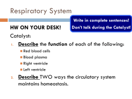 7.3 Respiratory system