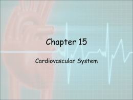 Anatomy of the Cardiovascular system Notes