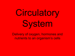 Circulatory System - Biology with Radjewski