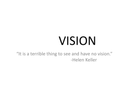 vision - Dr. Roberta Dev Anand