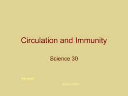 ch. 1- Circulation and Immunity