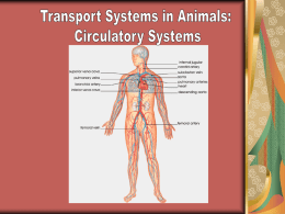 Transport Systems in Animals