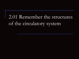 2.01 structures of circ. system