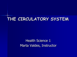 File the circulatory system