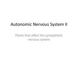 Plant Drugs of the Autonomic Nervous System II