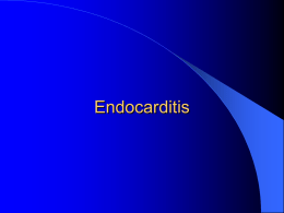 Endocarditis review